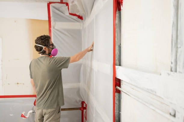 Best Mold Removal for HVAC Installations  in Hamburg, IA
