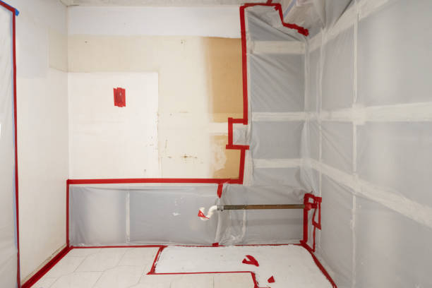 Best Mold Removal for HVAC Installations  in Hamburg, IA