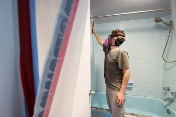 Best Mold Remediation for Healthcare Facilities  in Hamburg, IA