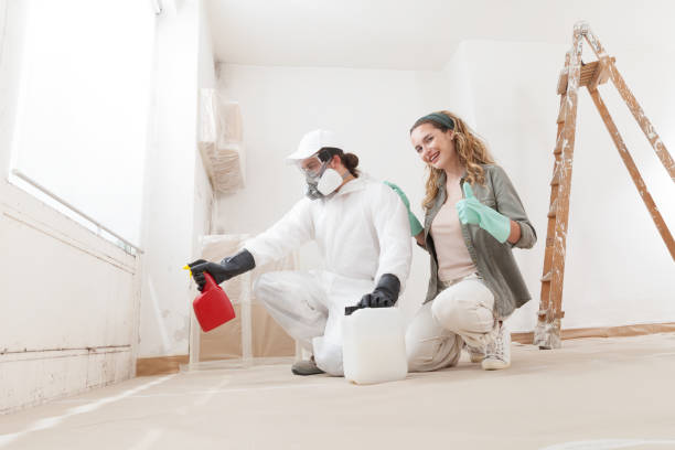 Best Emergency Mold Remediation  in Hamburg, IA